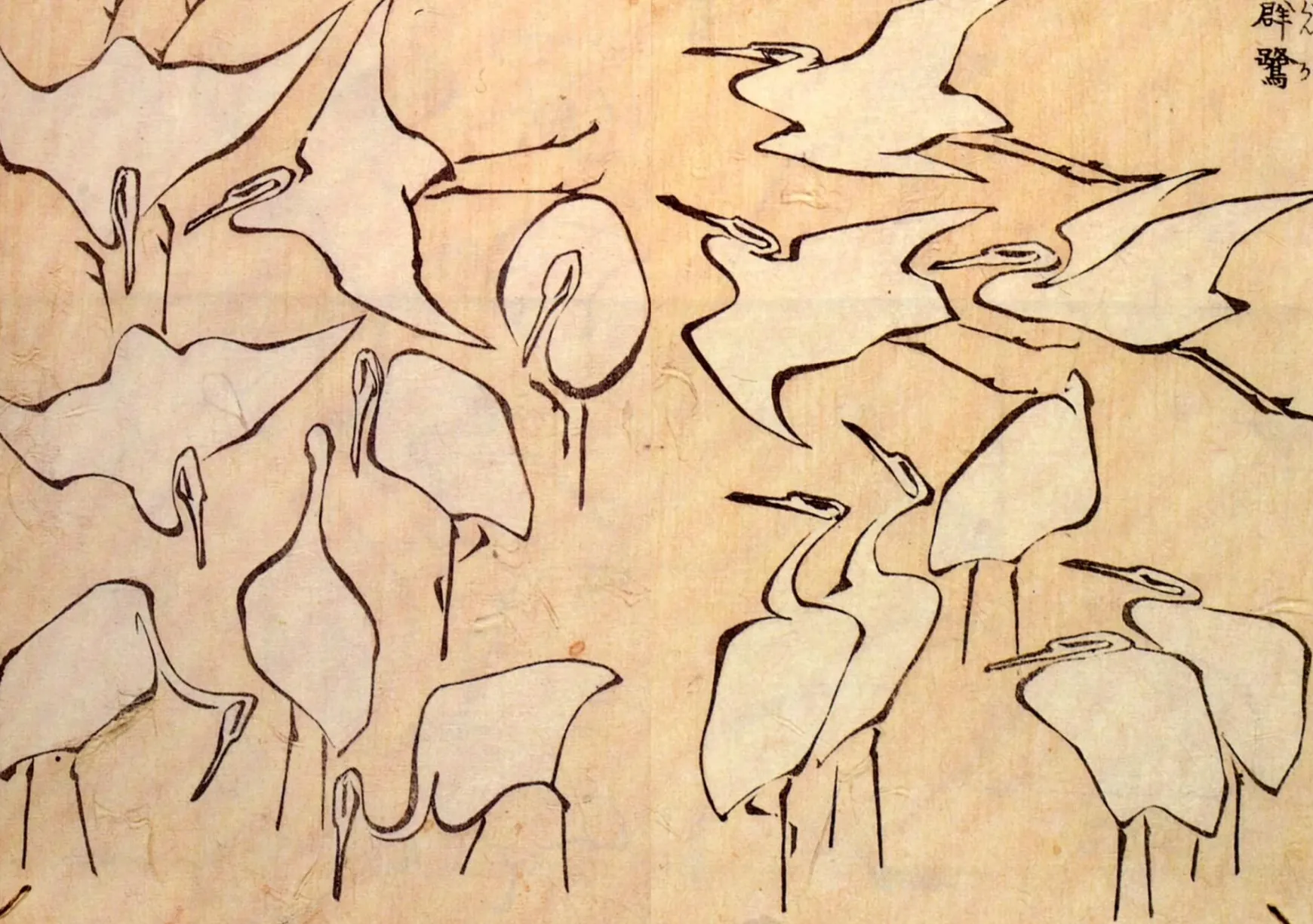 Galerie Mont Hokusai<Aigrettes - Hokusai