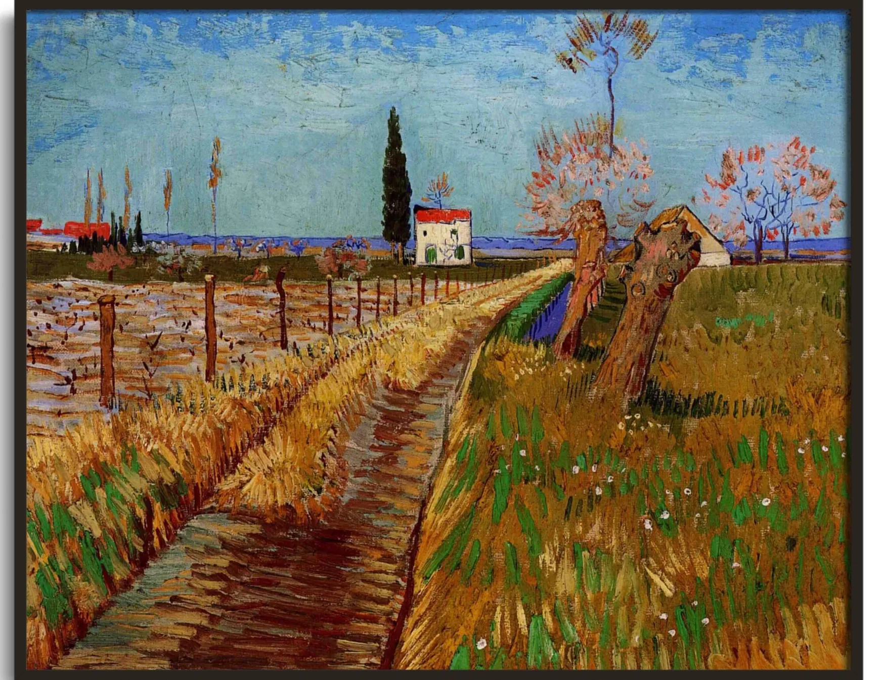 Galerie Mont Van Gogh<Chemin à travers un champ de saules - Vincent Van Gogh
