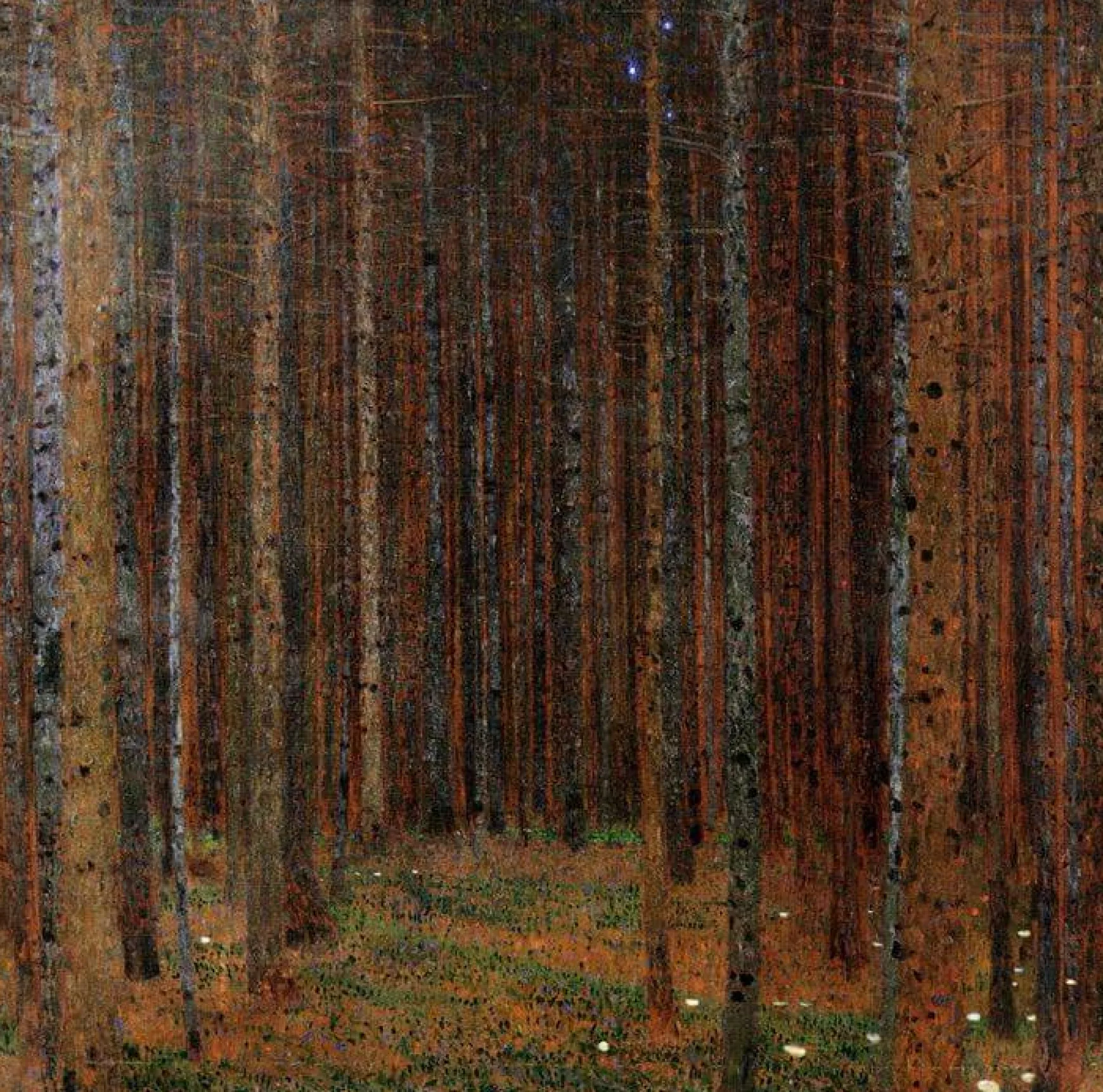 Galerie Mont Klimt<Forêt de Sapins - Gustav Klimt