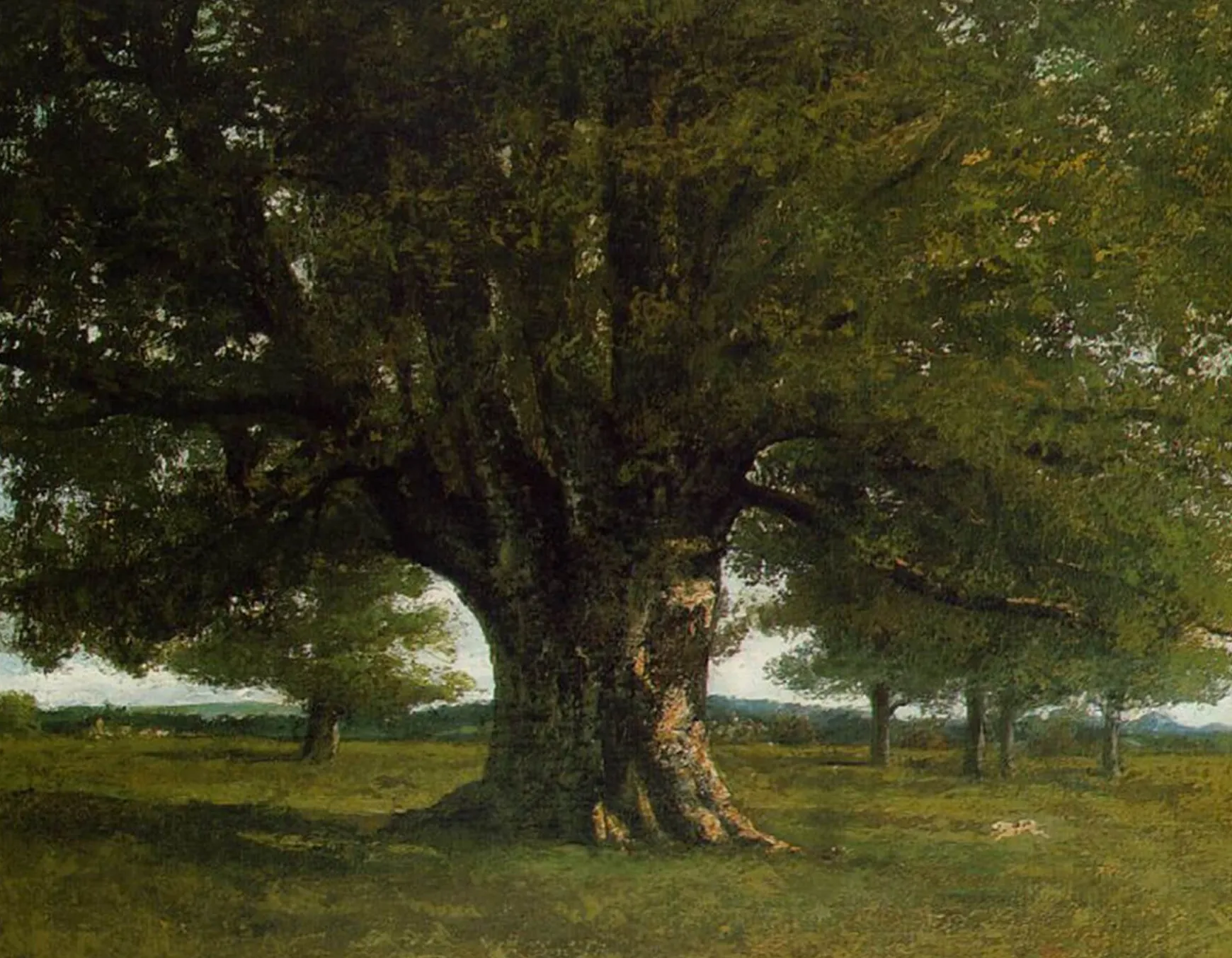 Galerie Mont Courbet<Le Chêne de Flagey - Gustave Courbet