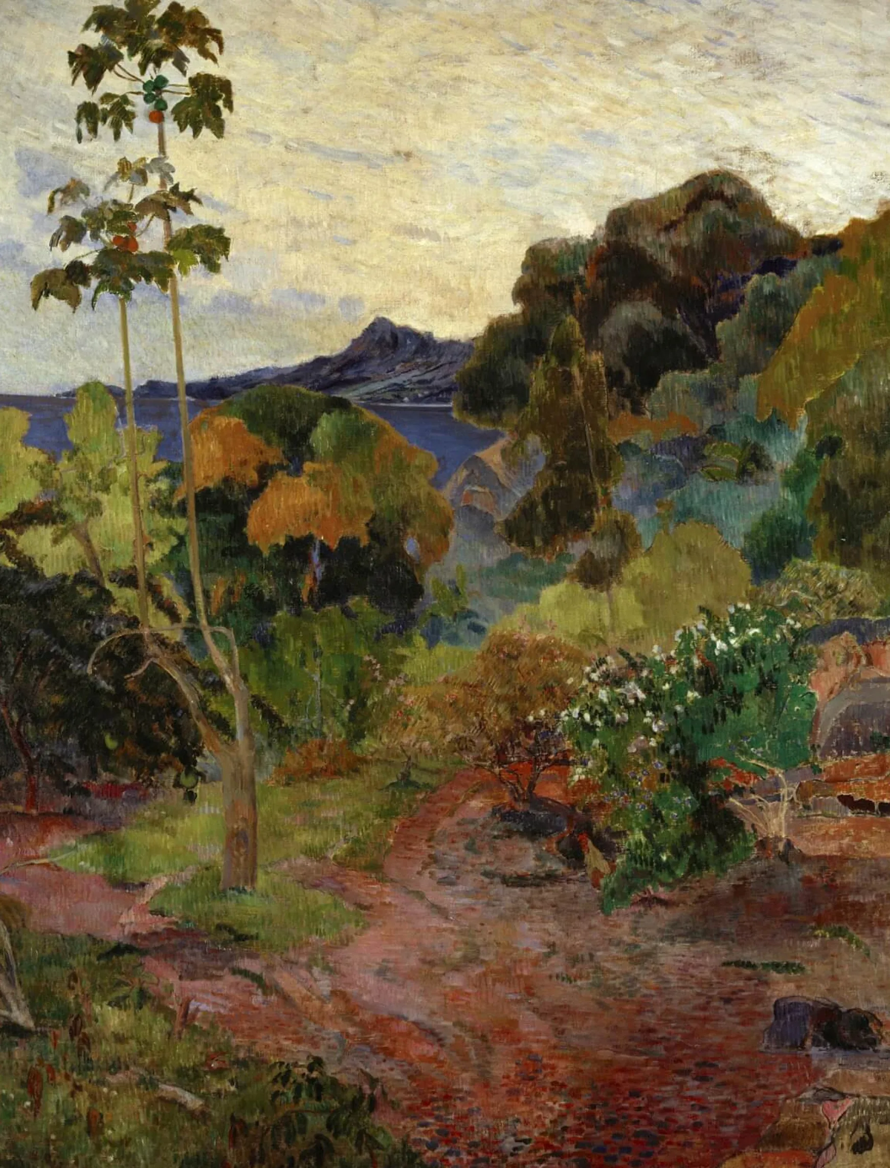 Galerie Mont Gauguin<Paysage de la Martinique - Paul Gauguin