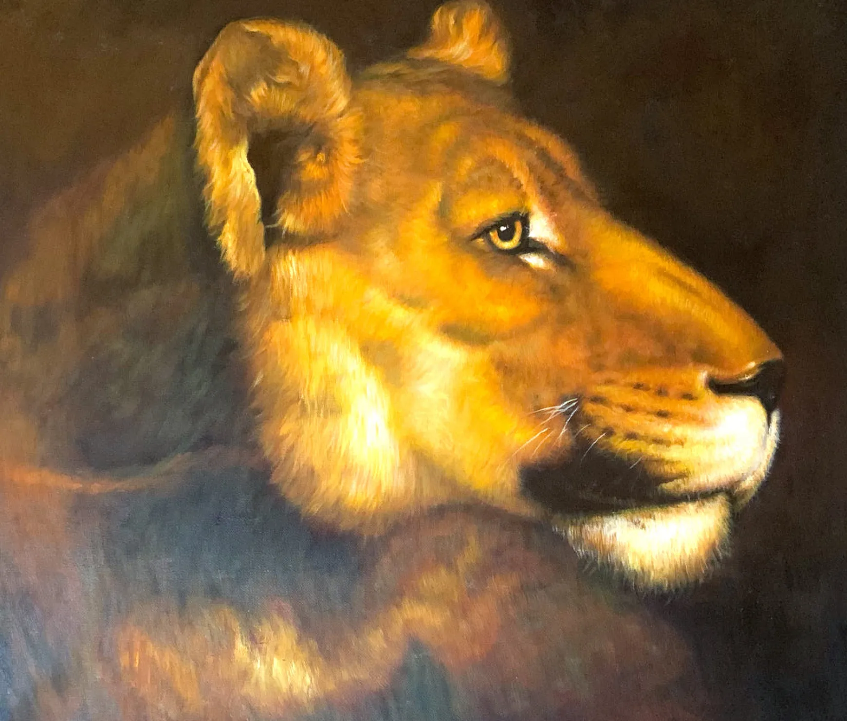 Galerie Mont Géricault<Tête de lionne - Théodore Géricault